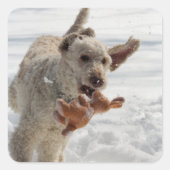 Ollie Vierkante Sticker (Voorkant)