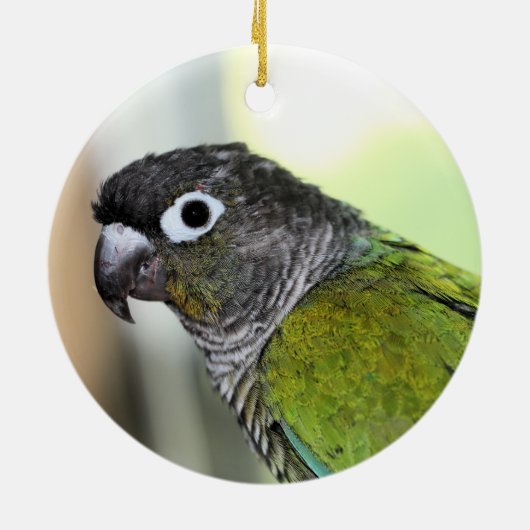 Ollie wallie keramisch ornament (Achterkant)