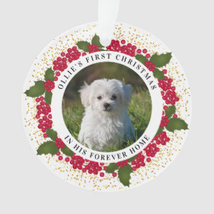 Ollie's eerste kerstsieraad voor eeuwig ornament