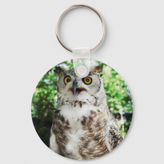 " OLLY " DE OWL KEYRING SLEUTELHANGER (Voorkant)