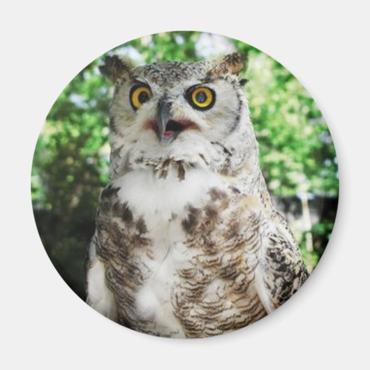 " OLLY " DE UIL MAGNEET (Voorkant)