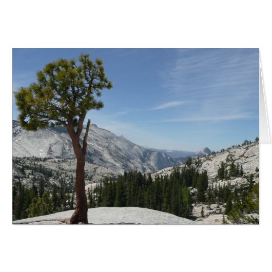 Olmsted Point I in Yosemite National Park (Voorkant Horizontaal)
