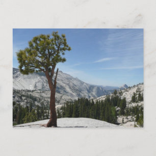 Olmsted Point I in Yosemite National Park Briefkaart