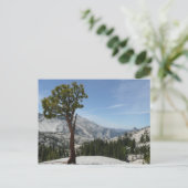 Olmsted Point I in Yosemite National Park Briefkaart (Staand voorkant)