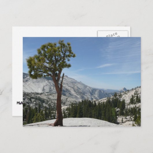 Olmsted Point I in Yosemite National Park Briefkaart (Voorkant / Achterkant)
