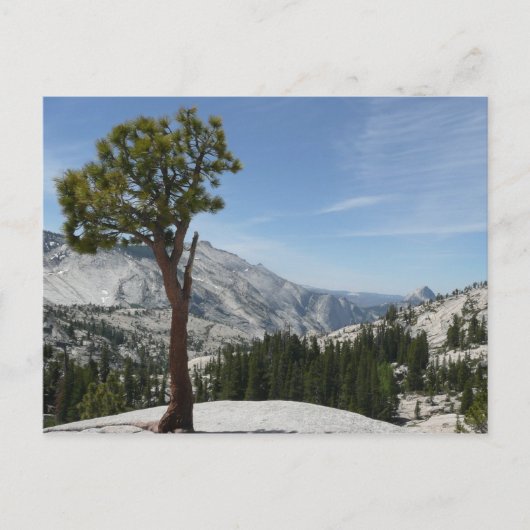 Olmsted Point I in Yosemite National Park Briefkaart (Voorkant)