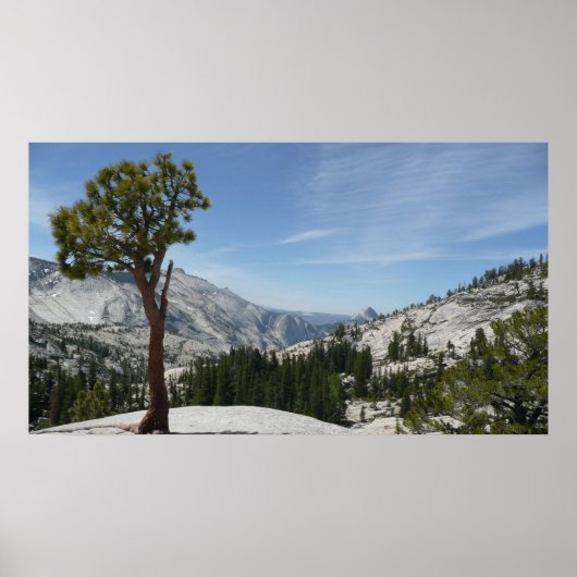 Olmsted Point I in Yosemite National Park Poster (Voorkant)
