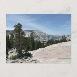 Olmsted Point II van het Nationaal Park Yosemite Briefkaart