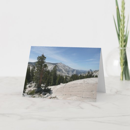 Olmsted Point II van het Nationaal Park Yosemite Kaart (Voorkant)