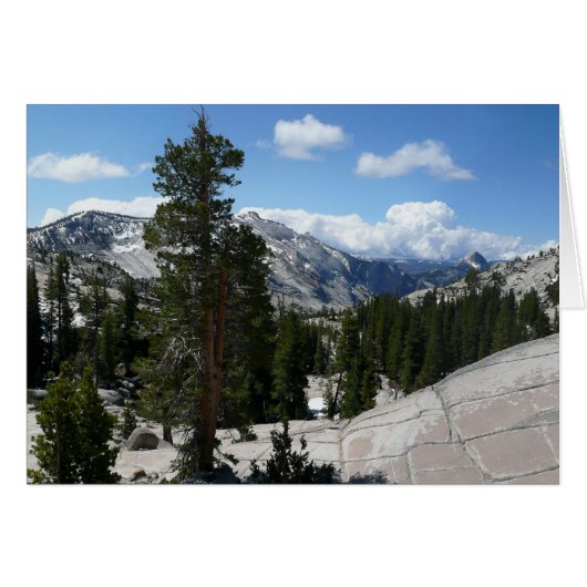 Olmsted Point III in Yosemite National Park (Voorkant Horizontaal)