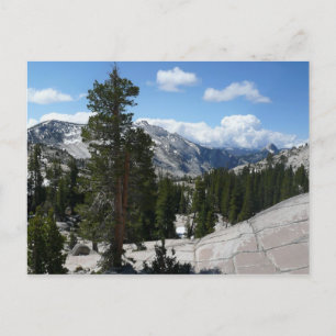 Olmsted Point III in Yosemite National Park Briefkaart