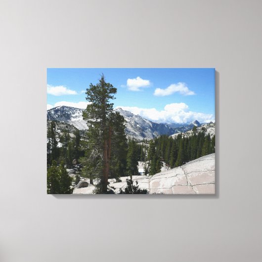 Olmsted Point III in Yosemite National Park Canvas Afdruk (Voorkant)
