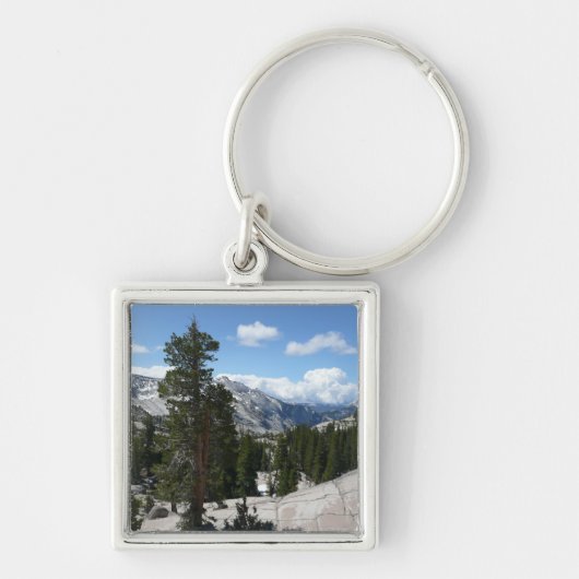 Olmsted Point III in Yosemite National Park Sleutelhanger (Voorkant)