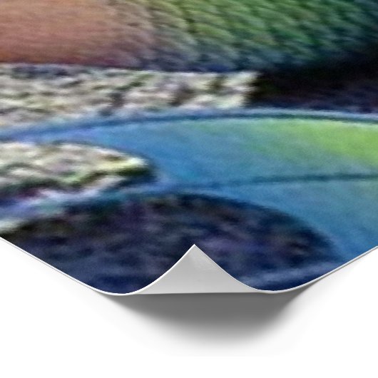 OLOKUN SIRENA POSTER (Hoek)