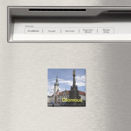 Olomouc magneet (Insitu (Vaatwasser))