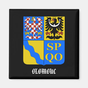 Olomouc Tsjechië Kitchen Magnet