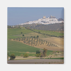 Olvera, Andalusië, Spanje Magneet