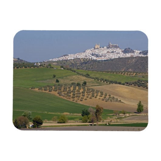 Olvera, Andalusië, Spanje Magneet (Horizontaal)