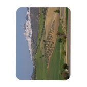 Olvera, Andalusië, Spanje Magneet (Verticaal)