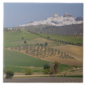 Olvera, Andalusië, Spanje Tegeltje (Voorkant)