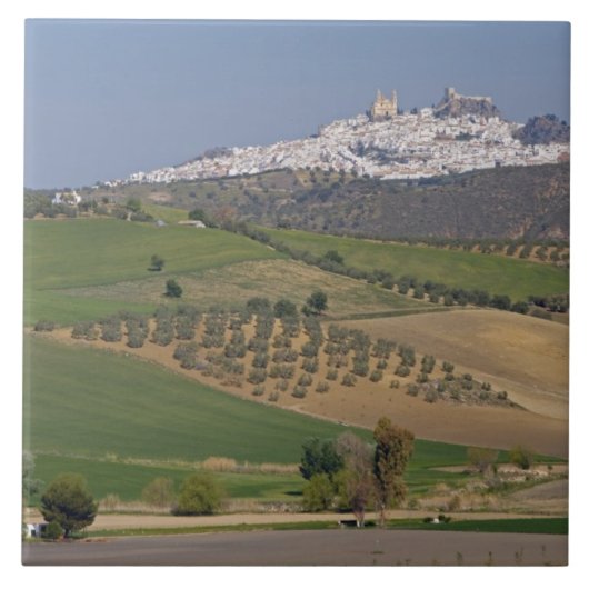Olvera, Andalusië, Spanje Tegeltje (Voorkant)