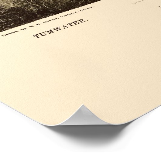 Olympia, WA Panoramic Map - 1879 Poster (Hoek)