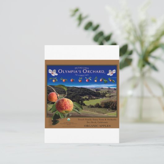 Olympia's Orchard Briefkaart (Staand voorkant)