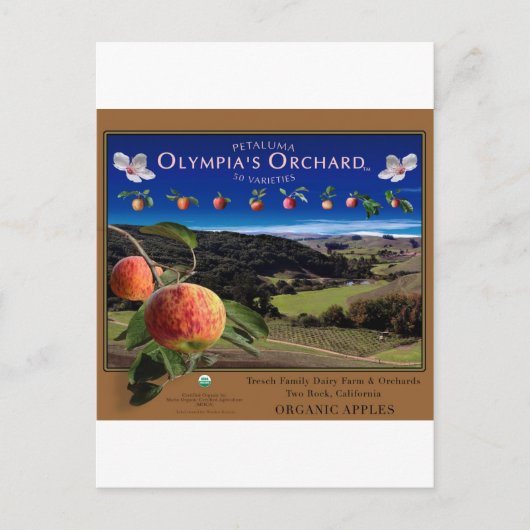 Olympia's Orchard Briefkaart (Voorkant)