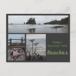 Olympic N.P. (Banden 2) Briefkaart