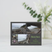Olympic N.P. (Beaches - Kalaloch, Rialto, Beach 4) Briefkaart (Staand voorkant)