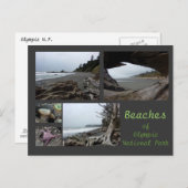 Olympic N.P. (Beaches - Kalaloch, Rialto, Beach 4) Briefkaart (Voorkant / Achterkant)
