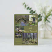 Olympic N.P. (Hoh Rain Forest 2) Briefkaart (Staand voorkant)