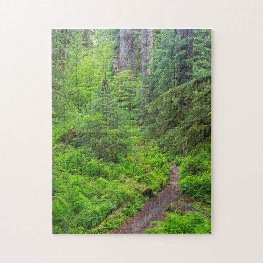 Olympic National Park, bospad Legpuzzel (Verticaal)