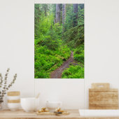 Olympic National Park, bospad Poster (Keuken)