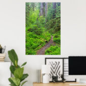 Olympic National Park, bospad Poster (Thuiskantoor)