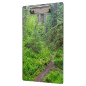 Olympic National Park, Boswandeling Klembord (Links)
