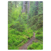 Olympic National Park, Boswandeling Klembord (Achterkant)