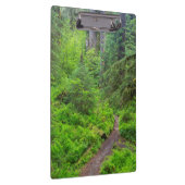 Olympic National Park, Boswandeling Klembord (Rechts)