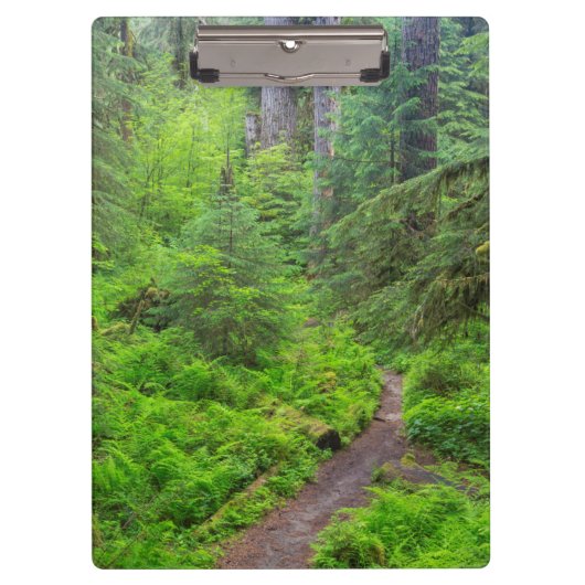Olympic National Park, Boswandeling Klembord (Voorkant)