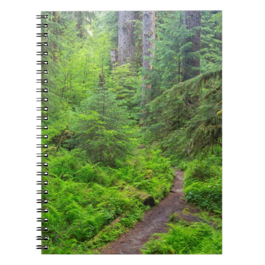 Olympic National Park, Boswandeling Notitieboek (Voorkant)