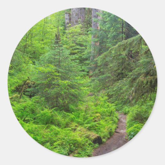 Olympic National Park, boswandeling Ronde Sticker (Voorkant)