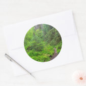 Olympic National Park, boswandeling Ronde Sticker (Envelop)