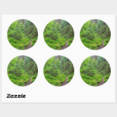 Olympic National Park, boswandeling Ronde Sticker (Vel)