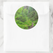 Olympic National Park, boswandeling Ronde Sticker (Tas)