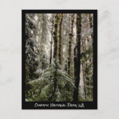 Olympic National Park Briefkaart (Voorkant)