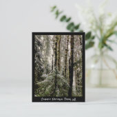 Olympic National Park Briefkaart (Staand voorkant)