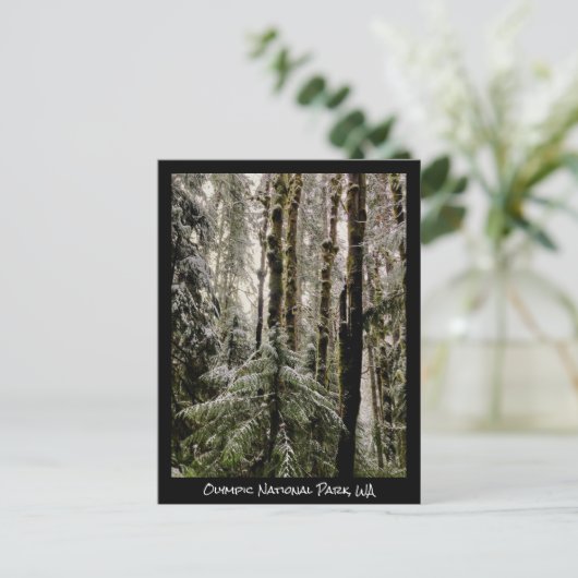 Olympic National Park Briefkaart (Staand voorkant)
