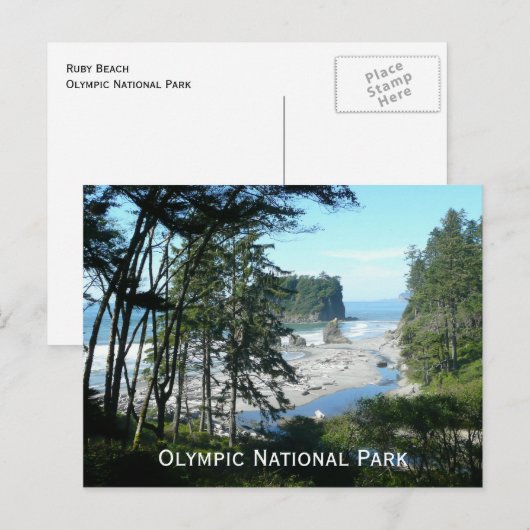 Olympic National Park Briefkaart (Voorkant / Achterkant)