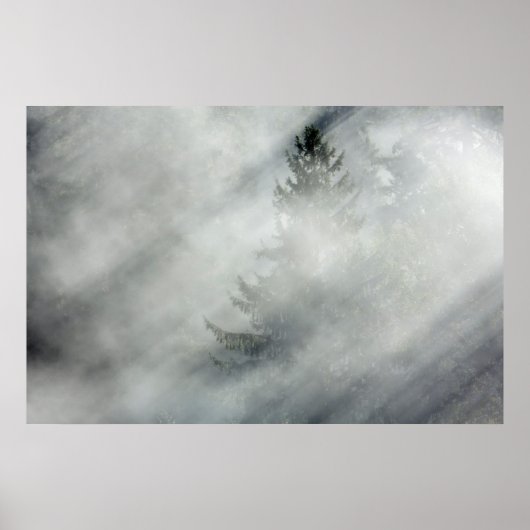 Olympic National Park | Hoh riviervallei Poster (Voorkant)