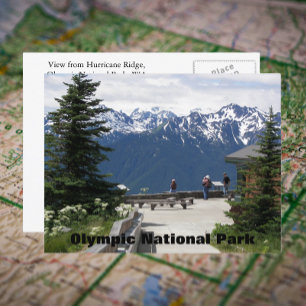 Olympic National Park Hurricane Ridge Travel Foto Briefkaart